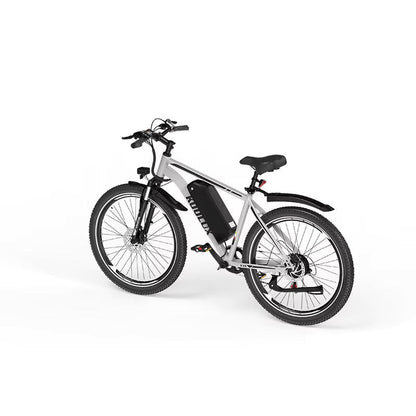 KOOLUX X15 Mountain Electric Bike