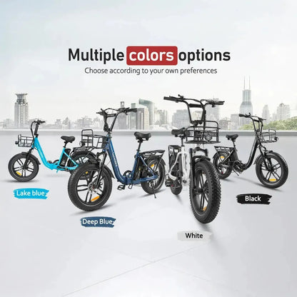 SAMEBIKE C05 Pro Step-through Foldable Fat Tire Ebike