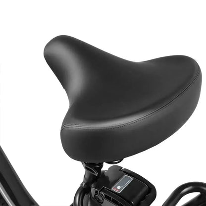 SAMEBIKE C05 Pro Step-through Foldable Fat Tire Ebike