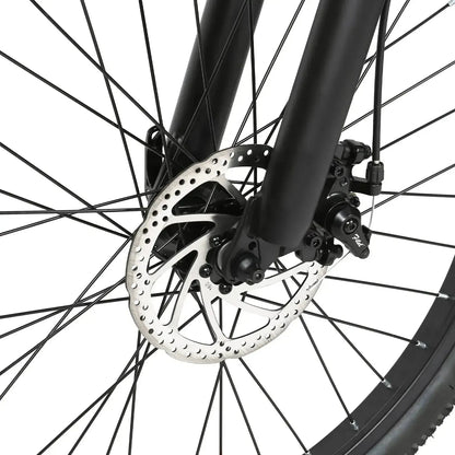 SAMEBIKE EBE2 Mountain Electric Bike With Torque-Sensor