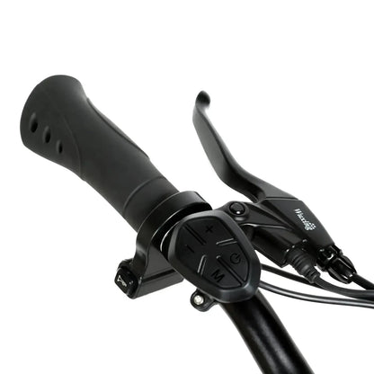 SAMEBIKE EBE2 Mountain Electric Bike With Torque-Sensor