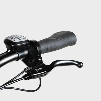 SAMEBIKE RS-A01 Pro-T Urban Electric Bike