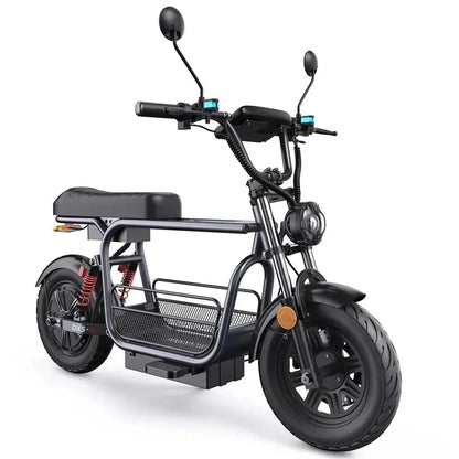 ISCOOTER DX5 Electric Scooter
