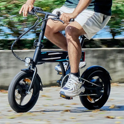 ISCOOTER EB1 Foldable Electric Bike