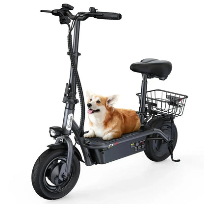 ISCOOTER F3 Electric Scooter