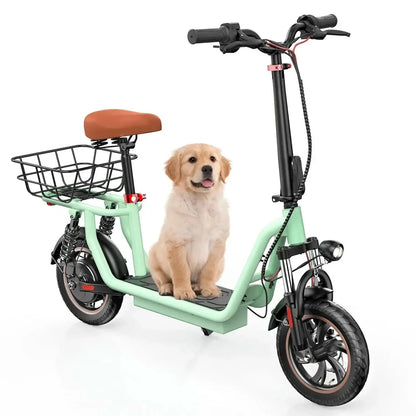 ISCOOTER i12 Electric Scooter